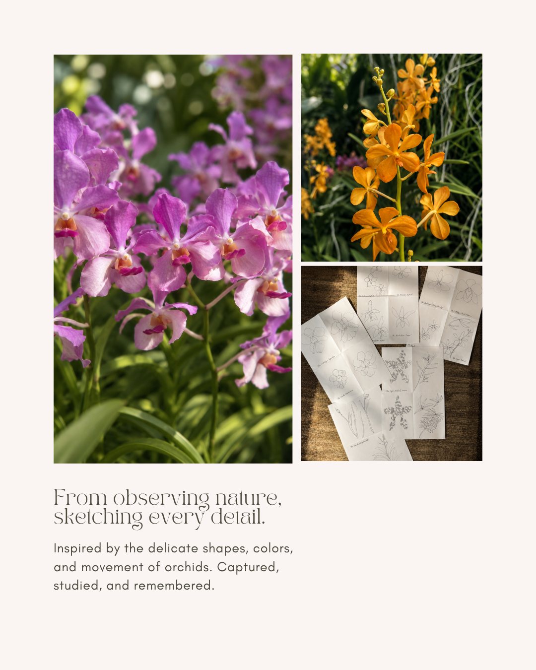 World of Ying post: from observing nature, sketching every detail